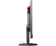 Eizo Foris FS2434-BK - 204140 - zdjęcie 6